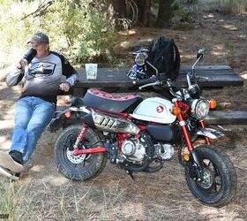 Monkeys in the Trees: Luring Lapsed Riders Back | Motorcycle.com