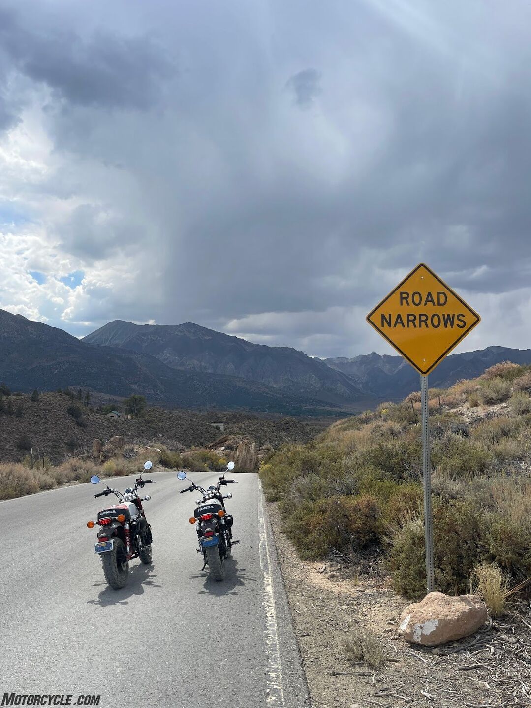 Monkeys Ride Motorcycle Monkeys in the Trees: Luring Lapsed Riders Back | Motorcycle.com