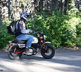 Monkeys in the Trees: Luring Lapsed Riders Back | Motorcycle.com