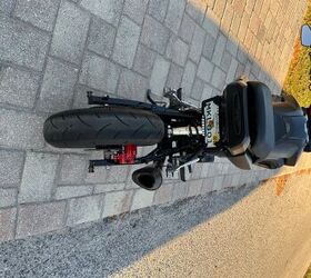 2018 Honda Grom 125 For Sale | Motorcycle Classifieds | Motorcycle.com