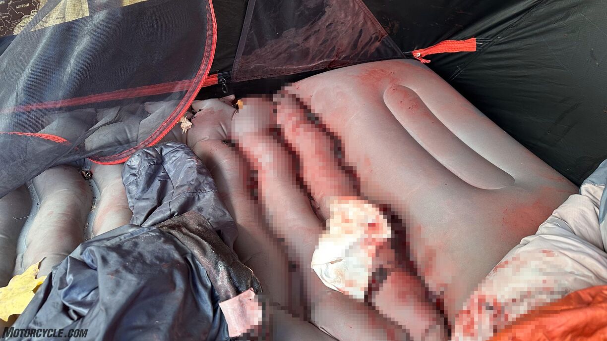 Sheffield Advanced Motorcyclists - Weekly newsletter 16th May 2025