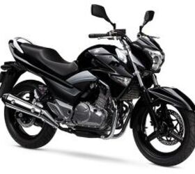 2017 Suzuki GW 250 | Motorcycle.com