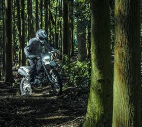 2026 Kawasaki KLX230 DF and Sherpa S – First Look | Motorcycle.com