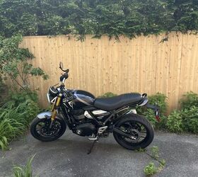 triumph speed 400 2024