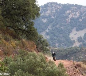 2024 triumph speed 400 scrambler 400 x review gallery