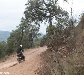 2024 triumph speed 400 scrambler 400 x review gallery