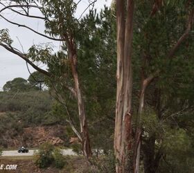 2022 triumph tiger 1200 gallery