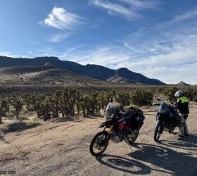 jenny and aaron s southern california new years adventure gallery