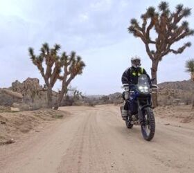 Joshua Trees, hoodoos and dirt. I needed a lot more time to fully explore what the area has to offer.