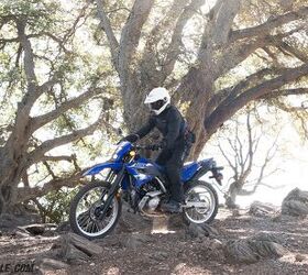 2026 yamaha wr125r review gallery