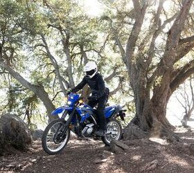 2026 yamaha wr125r review gallery