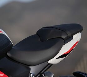 2026 triumph trident 800 review gallery