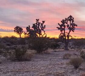 Act Now: Appeal Closure of 2,200 Miles of OHV Routes in Mojave Desert