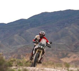 2026 ducati desertx first look gallery