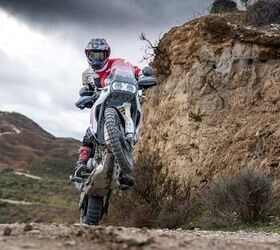 2026 ducati desertx first look gallery
