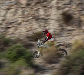 2026 ducati desertx first look gallery