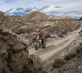 2026 ducati desertx first look gallery