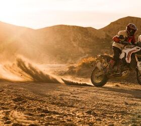 2026 ducati desertx first look gallery