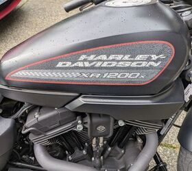 2012 harley davidson sportster xr1200x, faded and cracking tank decal