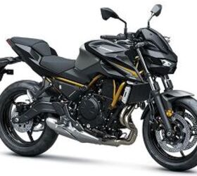 2026 Kawasaki W 175 LTD | Motorcycle.com