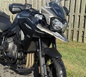 tiger 1200 desert edition