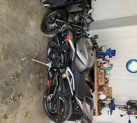 2024 Triumph