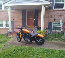 2014 Harley-Davidson Iron 883 (XL883N) - 8,000 Miles