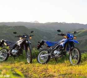 Is the Yamaha WR125R the Ultimate Entry-Level Dual-Sport?