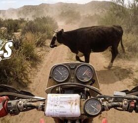 Bore & Stoke Breakout: Johnny Campbell’s Wildest Baja Survival Tale ...