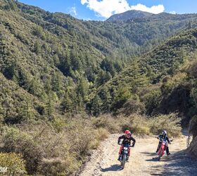 This pair of OG dual sports are cheap to buy, maintain, and run, they're built for exploring the world outside your back door