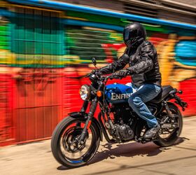 Free Photo | Male biker with a thick beard poses on a motorbike in a  beautiful park