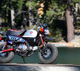 Monkeys in the Trees: Luring Lapsed Riders Back | Motorcycle.com