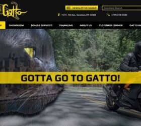 Gatto Cycle